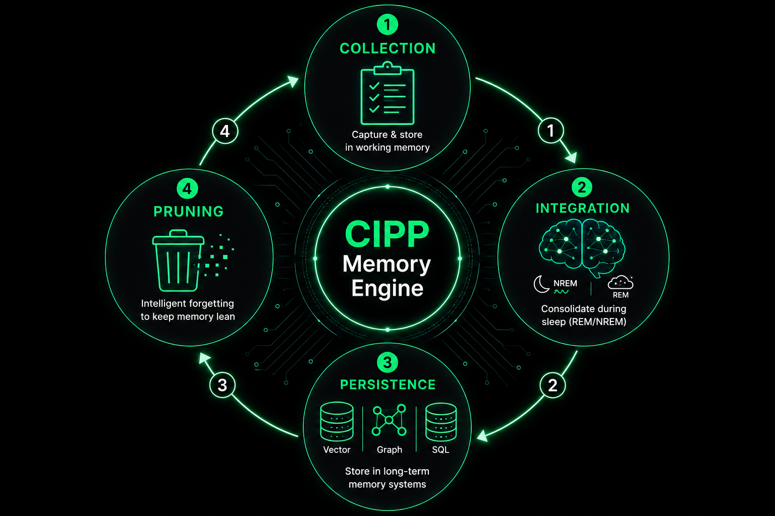 Hidden Brain CIPP Cycle